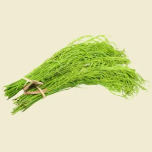 Acacia