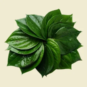Betel leaves