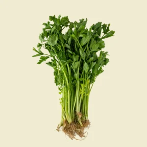 Celery