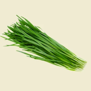 Chives