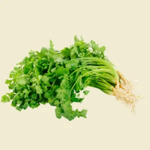 Coriander