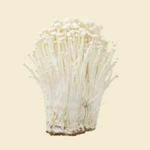 Enoki Mushroom