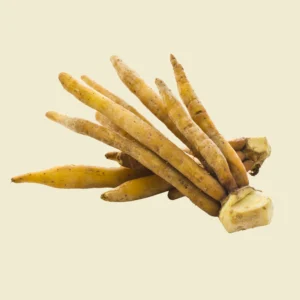 Fingerroot