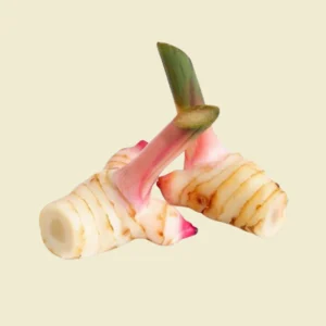 Galangal
