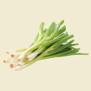 Japanese Spring Onion