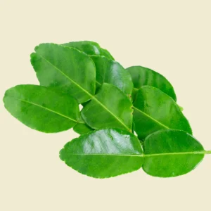 Kaffir Lime Leaves
