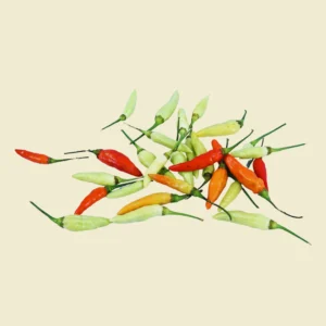 Karen Chili