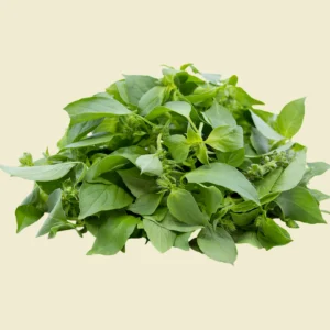 Lemon Basil