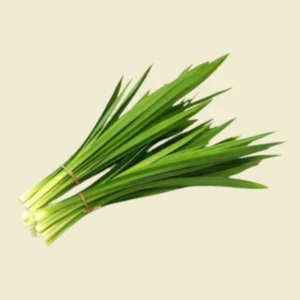 Pandan