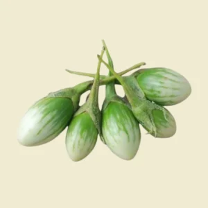 Stripe Eggplant