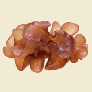 Wood Ear Mushroom