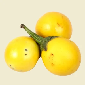 Yellow Eggplant